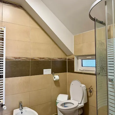 Ilsa Penzion Craiova